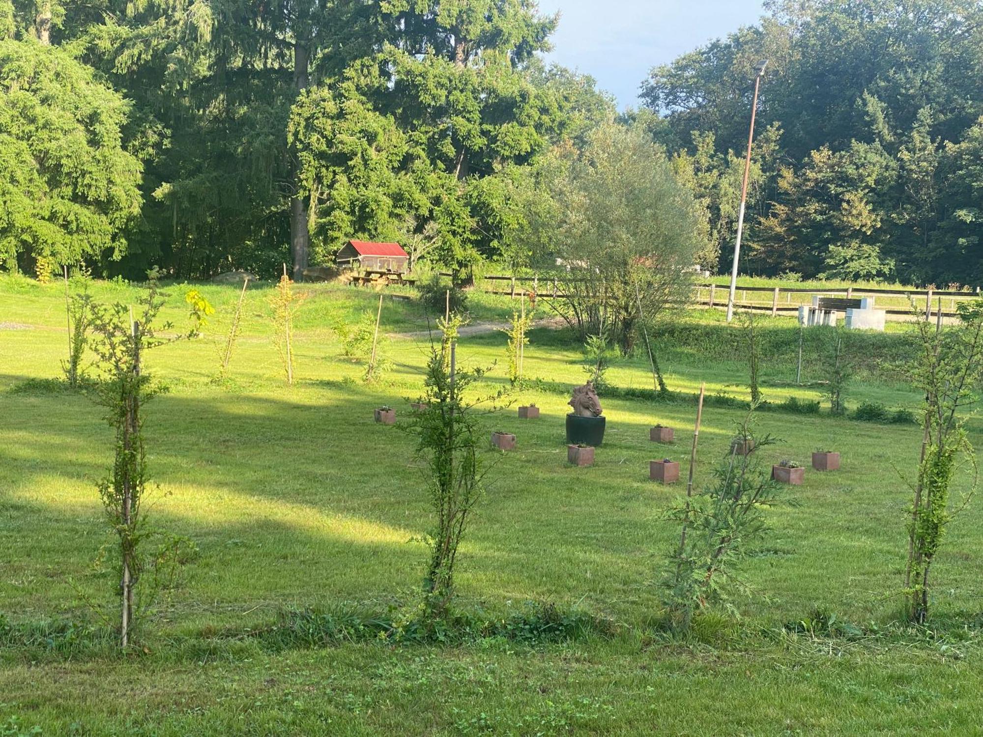 Maison Dans Parc Prive, Sports Et Loisirs Proche Golf Du Coudray Montceaux Le Coudray-Montceaux Buitenkant foto