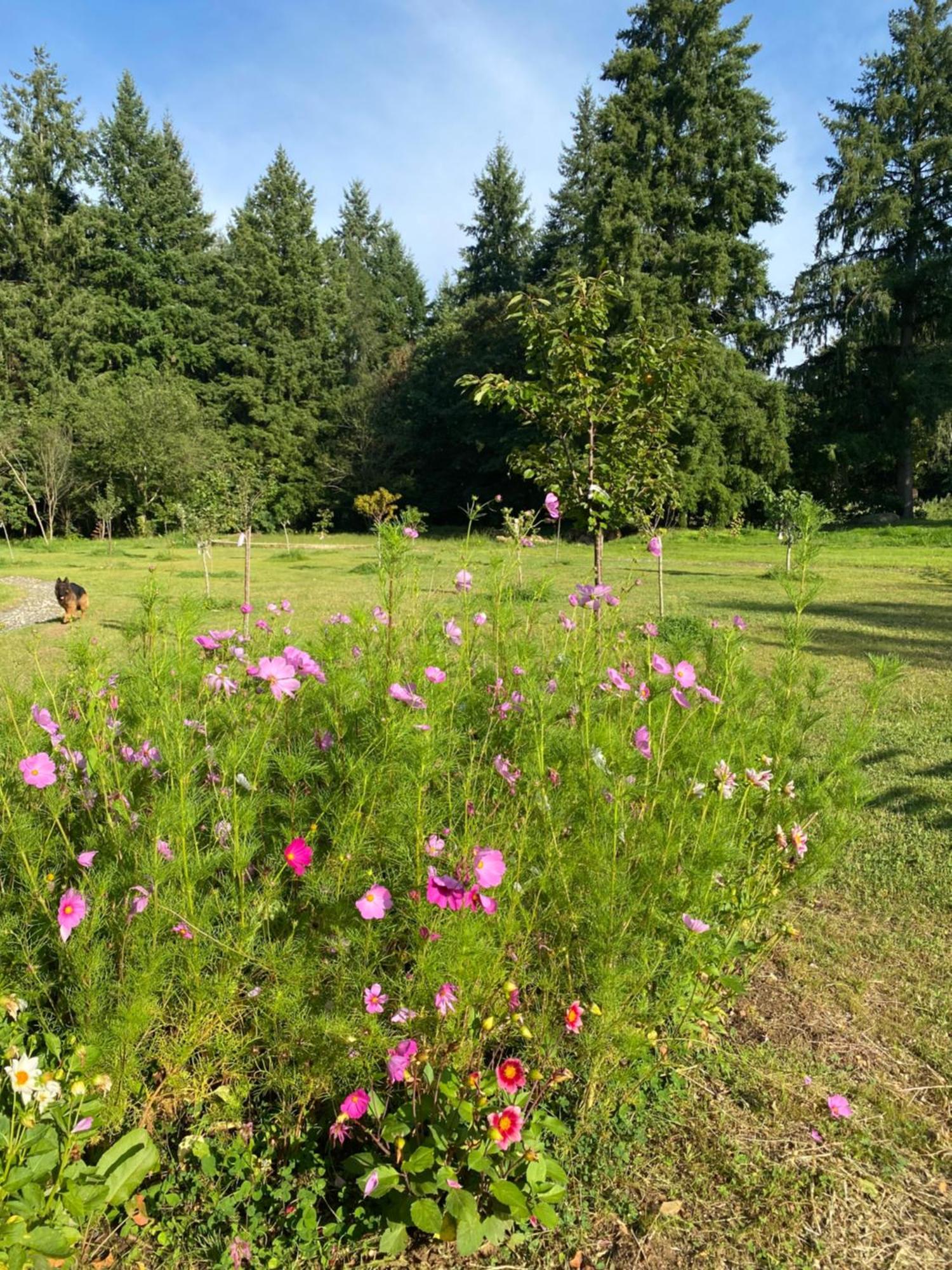 Maison Dans Parc Prive, Sports Et Loisirs Proche Golf Du Coudray Montceaux Le Coudray-Montceaux Buitenkant foto