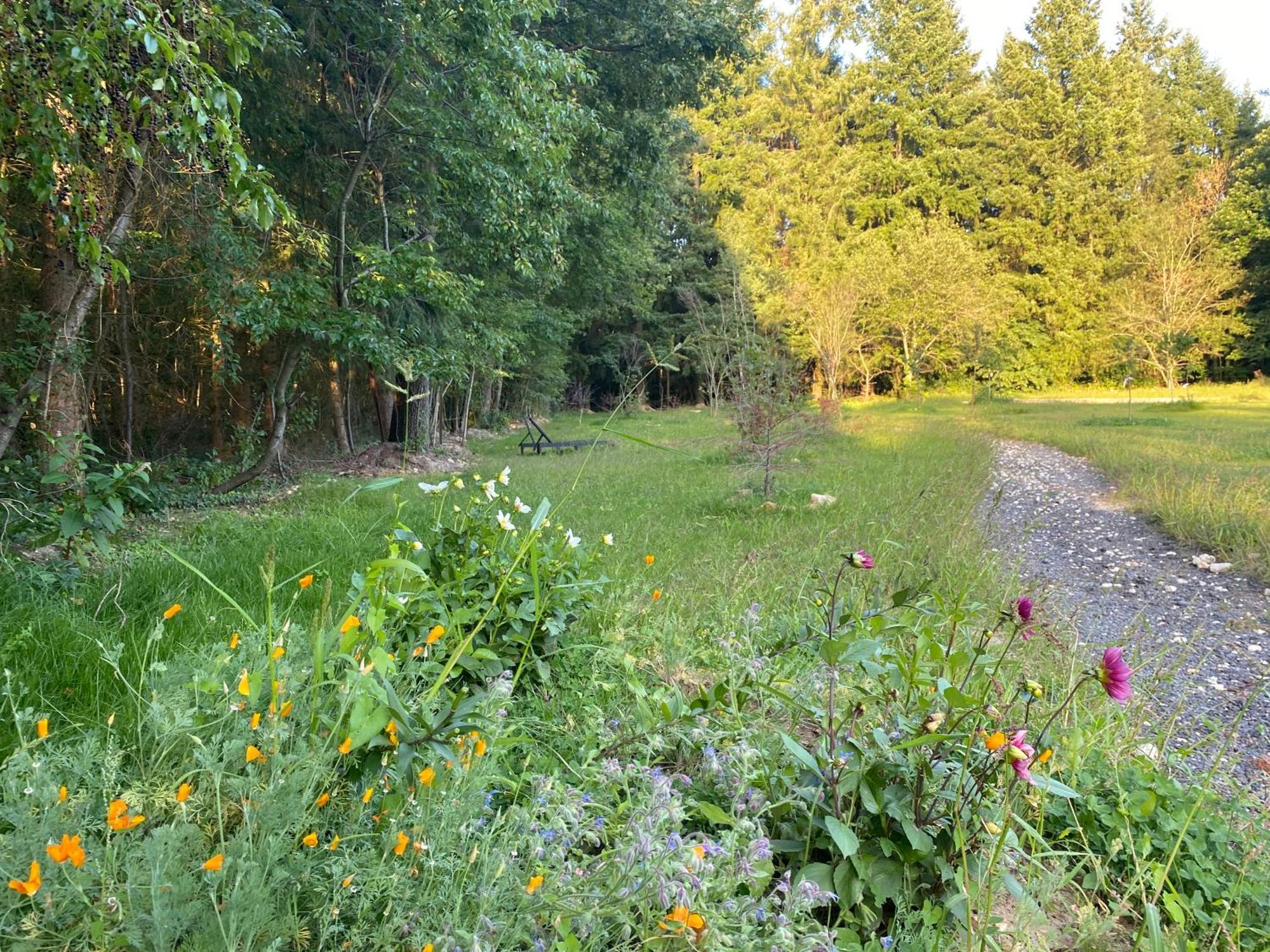 Maison Dans Parc Prive, Sports Et Loisirs Proche Golf Du Coudray Montceaux Le Coudray-Montceaux Buitenkant foto